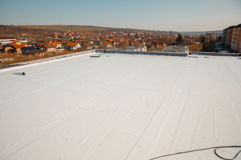 Rubber Roof Inspection
